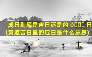 成日到底是吉日还是凶 💐 日(黄道吉日里的成日是什么意思)